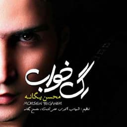 محسن یگانه دوراهی