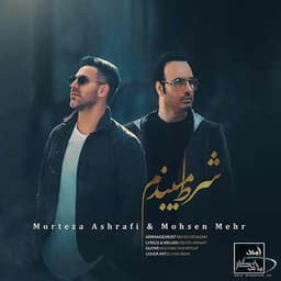 مرتضی اشرفی و محسن مهر شرط میبندم