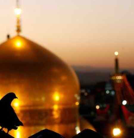 مداحی یارالی جان یارالی از مهدی رسولی